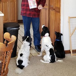 Meet your Posher, Carolynne